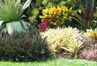 Lauderdaleplant-nursery-25.jpg; ?>