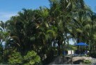 Lauderdaletropical-landscaping-12.jpg; ?>